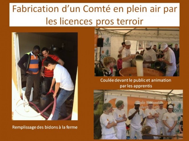 Diapositive2-800x600